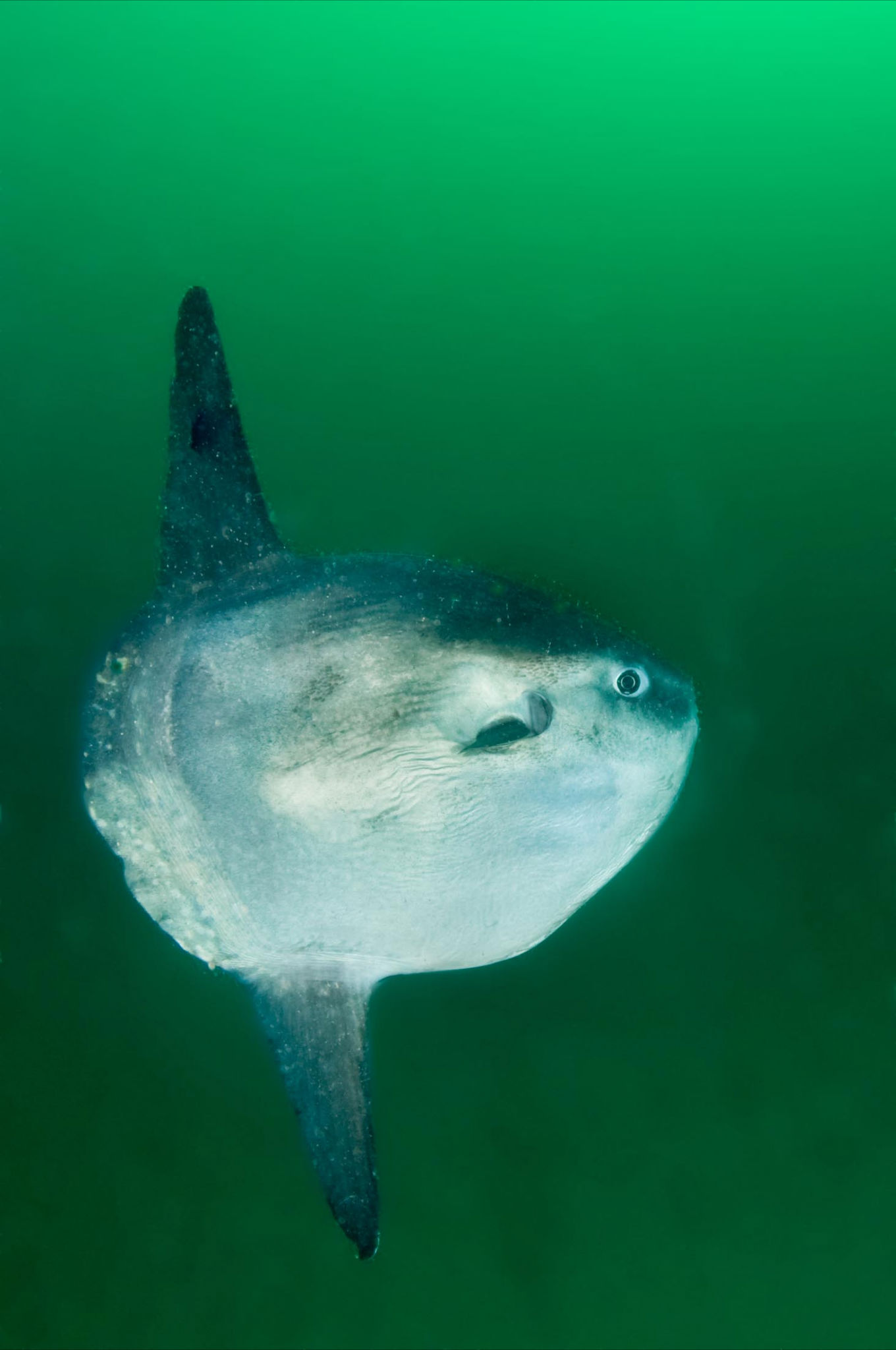 Harlyn Diving School image gallery Dive Cornwall